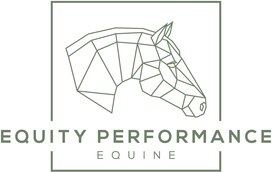 Equity Performance Equine